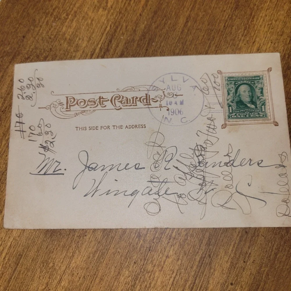 Antique 1906 Asheville NC Postcard Birds Eye View Showing Mt Pisgah Posted North